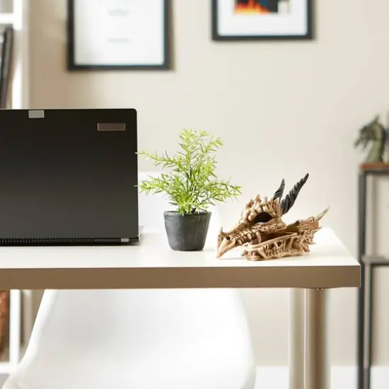 12" Snarling Dragon Skull Treasure Trove Box {5}