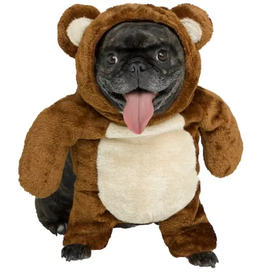 Teddy Bear Dog Costume by Ashland&reg; {1}