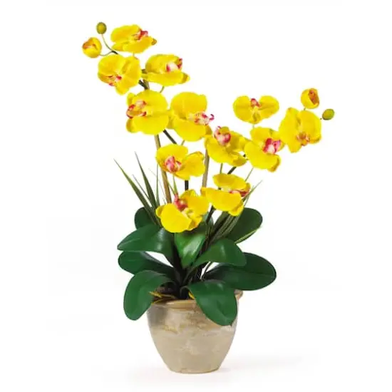 2ft. Double Moth Orchid Silk Flower Arrangement Yellow {1}