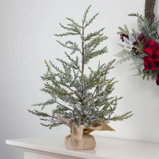 24" Unlit Real Touch&trade;️ Iced Cedar Artificial Christmas Tree {3}