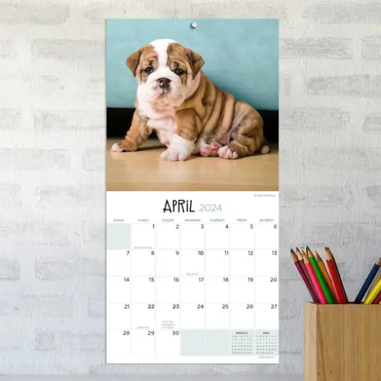 TF Publishing 2024 Puppies Mini Calendar {5}