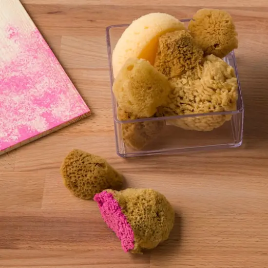 Variety Sponge Value Pack by Craft Smart&reg; {3}