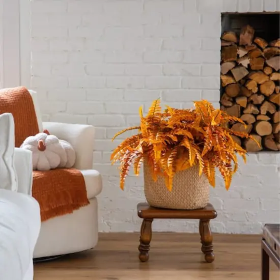 19in. Autumn Artificial Fall Boston Fern - Set of 6 {8}