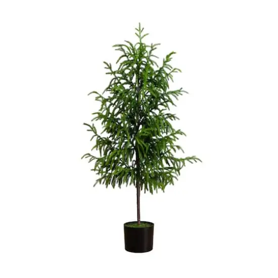 4ft. Unlit Norfolk Pine Artificial Potted Christmas Tree {1}