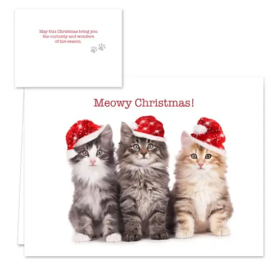 Hortense B. Hewitt Co. Christmas Cats Holiday Cards {4}