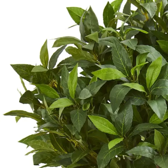 3ft. Potted Bay Leaf Topiary Tree {3}