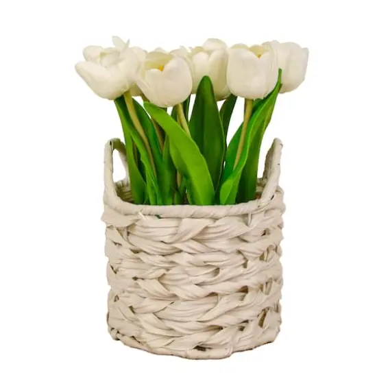 10" Tulip Bouquet in White Basket {1}