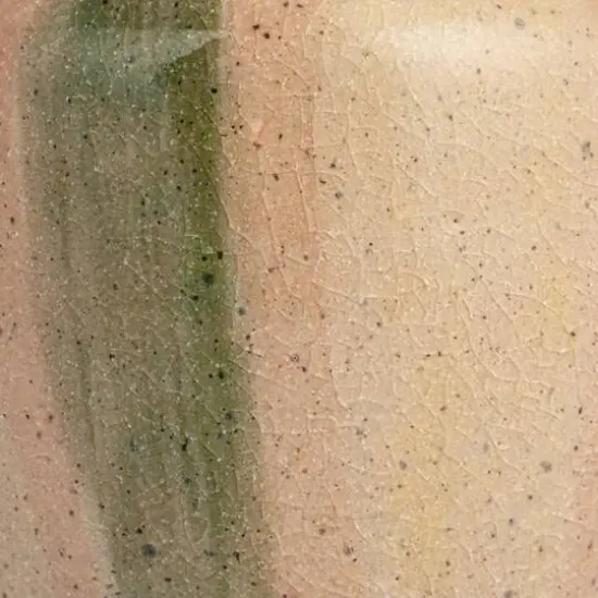 Hello Honey&reg; 10.5" Green & Cream Hand-Painted Crackle Glaze Terra Cotta Vase with Tall Neck {9}