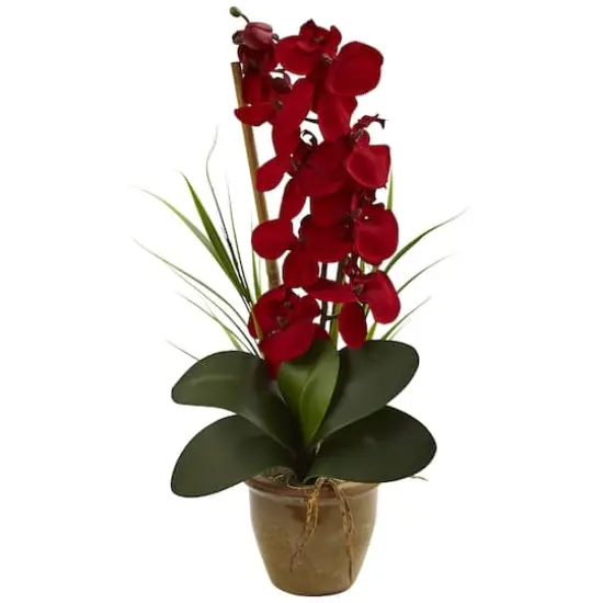 21" Red Orchid Silk Arrangement in Ceramic Vase {1}