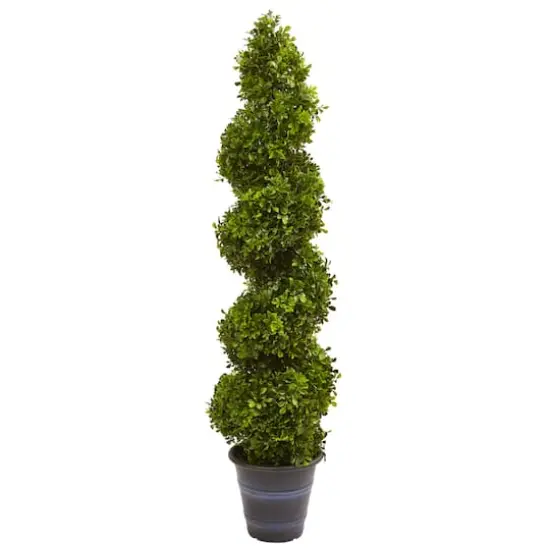 4ft. Boxwood Spiral Topiary in Planter {1}