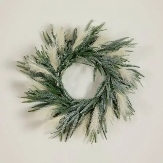 24in. Artificial Balsam Fir Pine and Pampas Wreath with 50 Color Changing LED Lights {10}