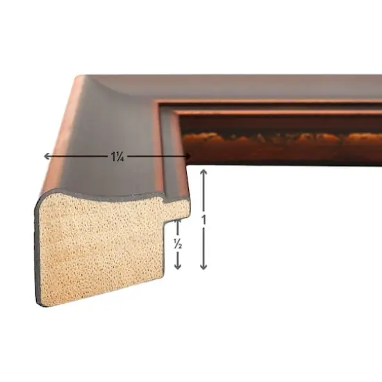 Craig Frames Metropolis Antique Bronze Picture Frame {3}