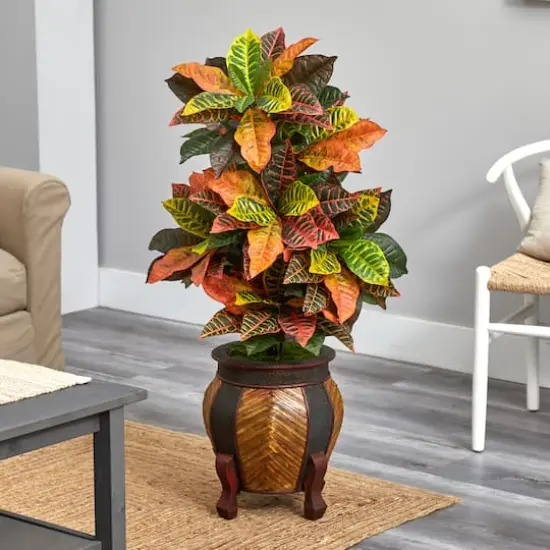 3.5ft. Croton Plant in Decorative Planter {3}