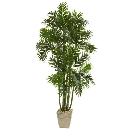 6ft. Areca Palm Tree in Country White Planter {1}