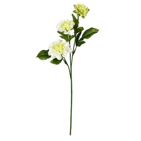 6 Pack: Cream Dahlia Spray {1}