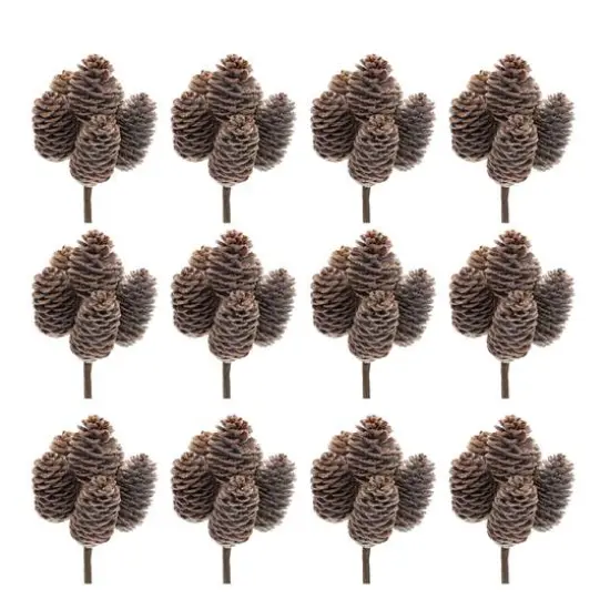 Brown Pinecone Stem Bundle, 12ct. {1}