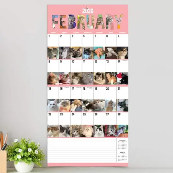 2026 Cat-A-Day Wall Calendar {4}