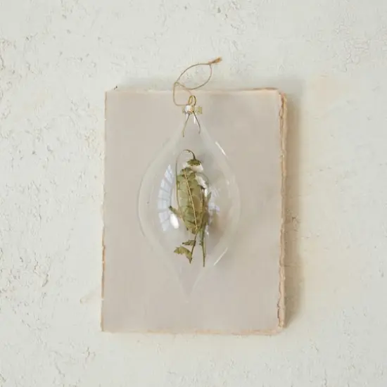 Hello Honey&reg; 7.5" Clear Glass Finial Ornament with Dried Botanicals {3}