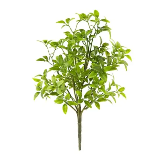 Tea Leaves Bush by Ashland&reg; {1}