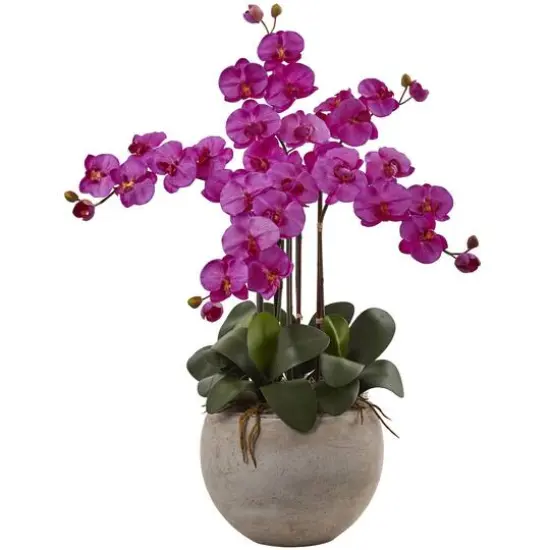 3ft. Moth Orchid Arrangement in Sand Colored Bowl Cream {2}