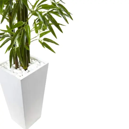 5ft. UV Resistant Bamboo Tree in White Planter {3}