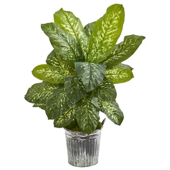 38" Dieffenbachia Artificial Plant in Vintage Metal Bucket (Real Touch) {1}