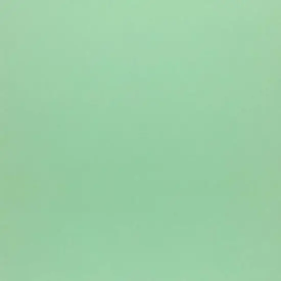 PA Paper&trade; Accents 12" x 12" 60lb. Smooth Cardstock, 25 Sheets Light Green {1}