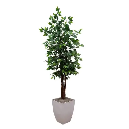 6ft. Artificial Double Stalk Ficus Tree in White Metal Planter {1}