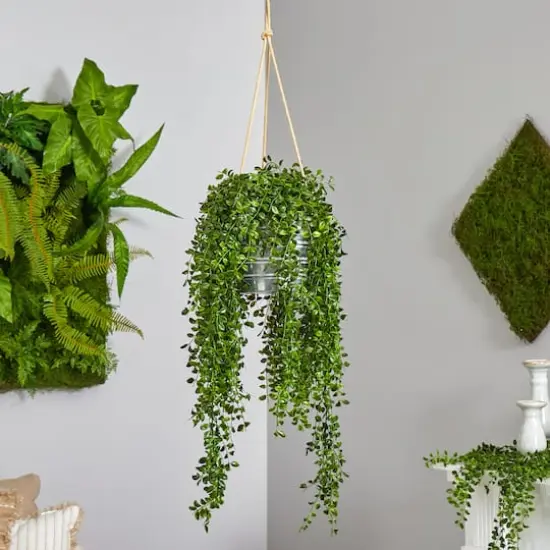 4ft. Honey Locust Plant in Hanging Metal Bucket {4}