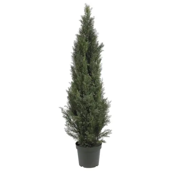 5ft. Cedar Pine Tree {1}
