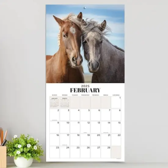 TF Publishing 2025 Horses Wall Calendar {4}
