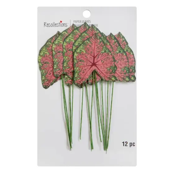 Green & Pink Paper Caladium Leaves by Recollections&trade; {5}