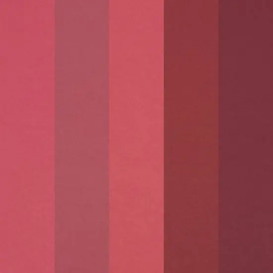 8.5" x 11" Mixed 24lb. Solid Core Paper Pack by Recollections&trade;, 120 Sheets Shades of Red {3}