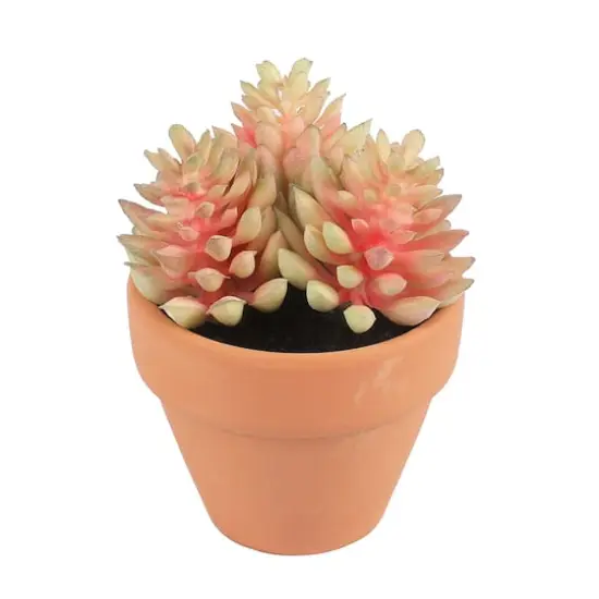Mini Premade Succulents in Terra Cotta Pots, 6ct. by Ashland&reg; Light Green {8}