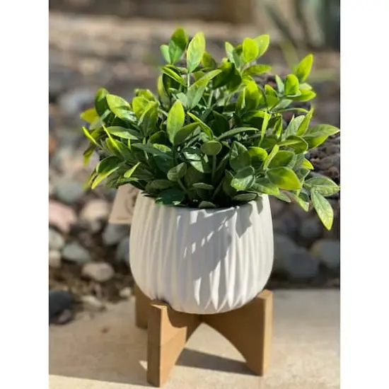 Flora Bunda&reg; 10.7" Tea Leaf in Ridge Pot On Stand {4}