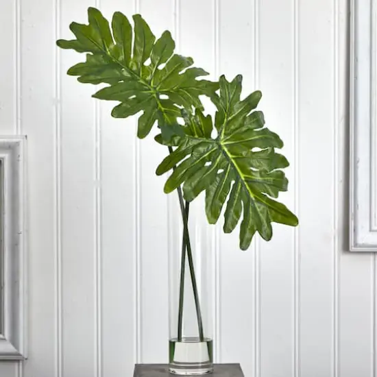 2.5ft. Philodendron Leaves in Cylinder Glass Vase {4}