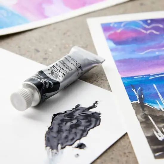 Winsor & Newton&reg; Professional Water Colour&trade; Paint, 5mL Payne's Gray {3}