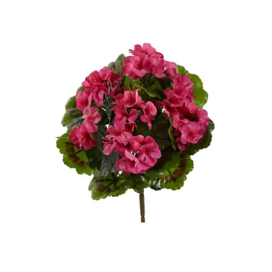 Pink Geranium Bush, 4ct.  {1}