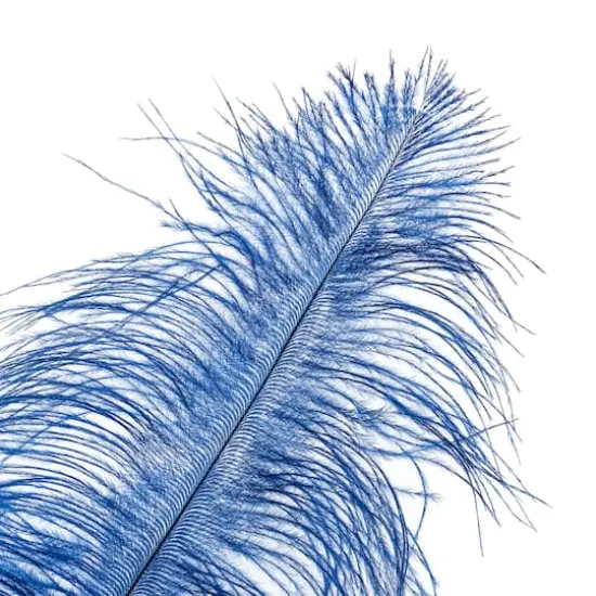 John Bead 11"-13" Ostrich Drab Feather Royal Blue {3}