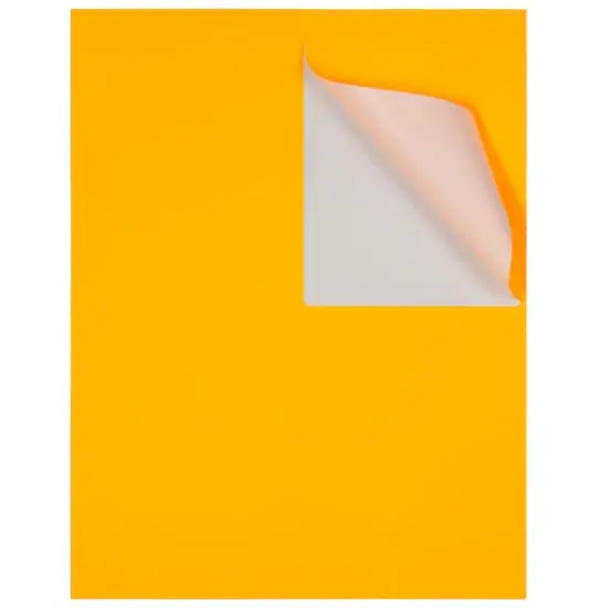 JAM Paper Extra Large Shipping Address Label Stickers Neon Orange {5}