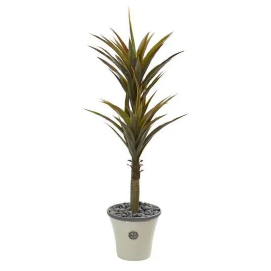5ft. Yucca Tree in Decorative Planter {1}