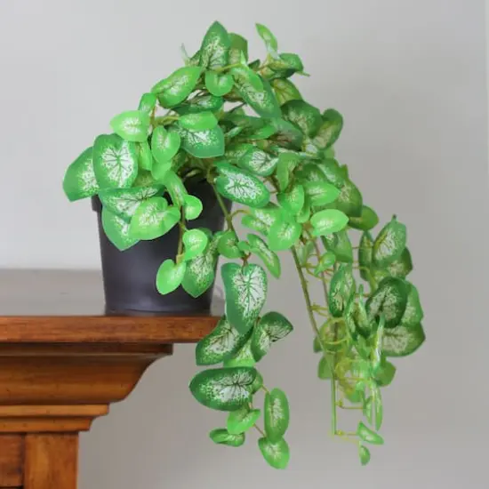 8" Decorative Kelly Green Spring Plant in Pot {3}