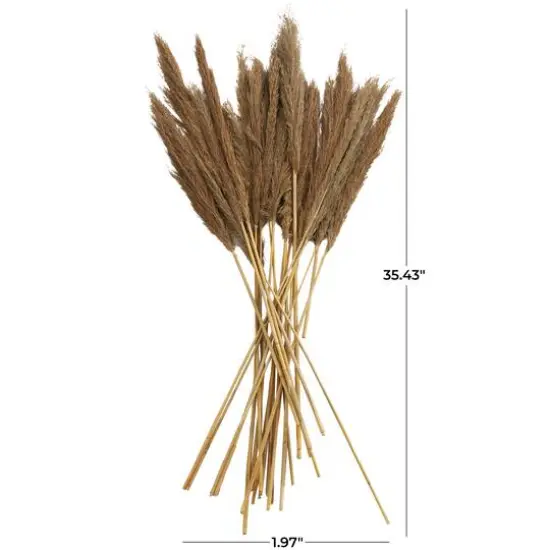 Dried Plant Bamboo Natural Foliage with Long Stems Brown {8}