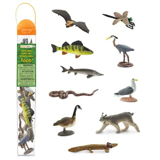 Safari Ltd&reg; TOOB&reg; Great Lakes {1}