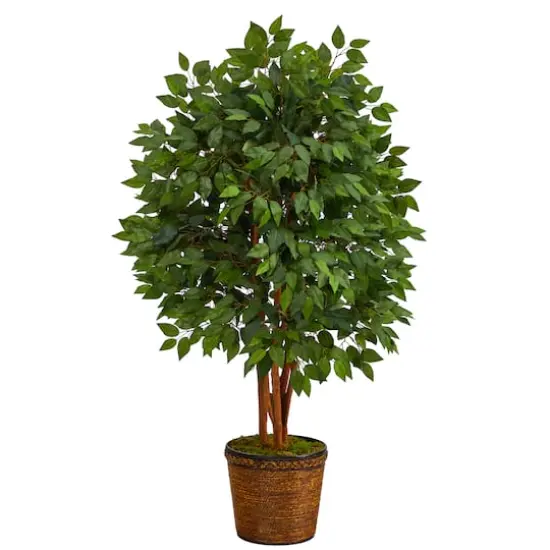 5ft. Super Deluxe Ficus Tree in Wicker Planter {1}