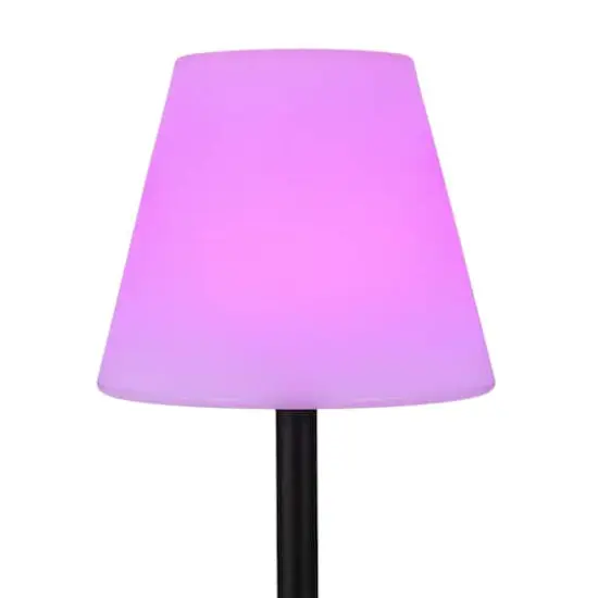 Hello Honey&reg; 57.75" Black Touch Sensor Metal Solar Floor Lamp {9}