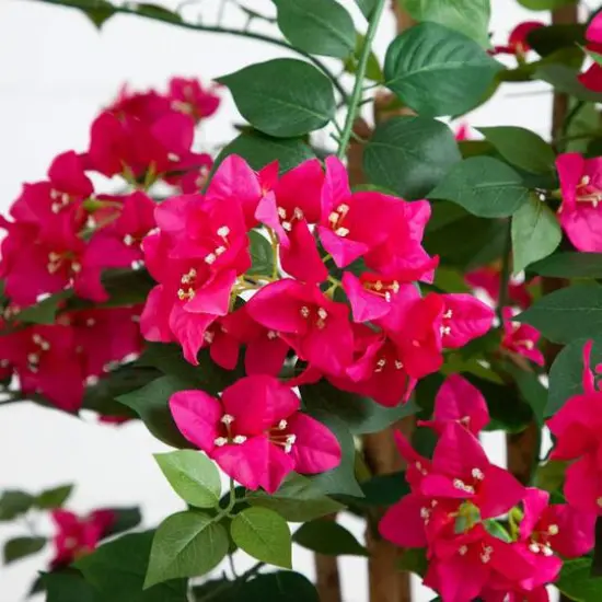 4ft. Artificial Deluxe Bougainvillea Tree {5}