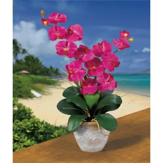 2ft. Double Moth Orchid Silk Flower Arrangement Pink Beauty {3}