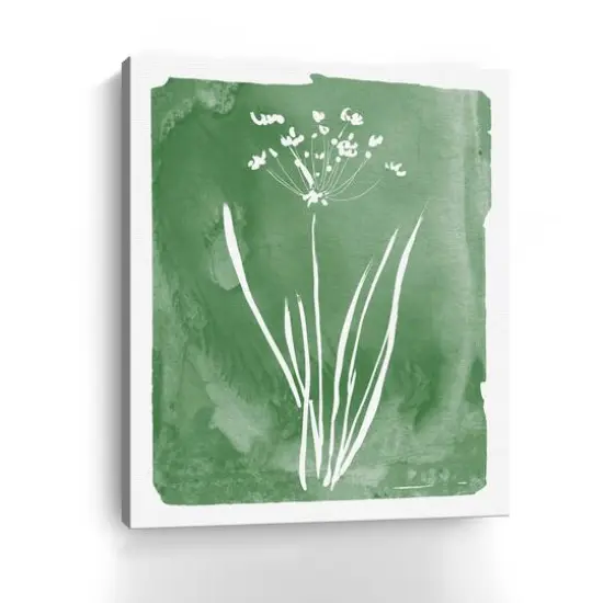 Green Botanical II Canvas Giclee {4}