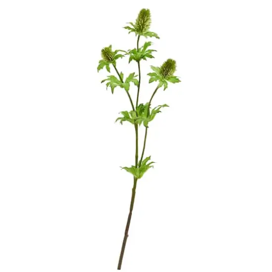 Green Thistle Stem, 12ct. {1}